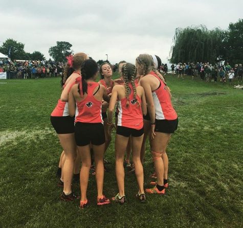 Girls Cross Country Preview