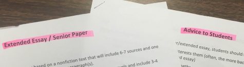 Tips to Survive the Senior Paper