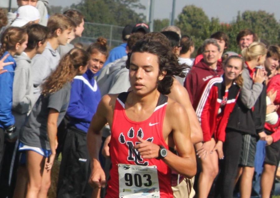 Cross Country Runner Places at State Meet