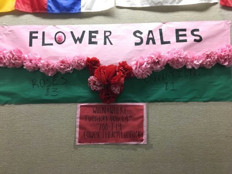Q&A with Student Council on Valentine's Day Carnation Sales