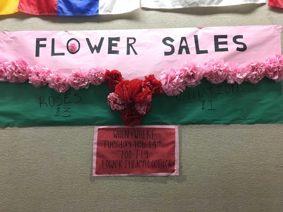 Q&A with Student Council on Valentines Day Carnation Sales