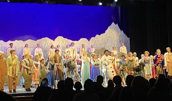 Frozen musical enjoyed by all