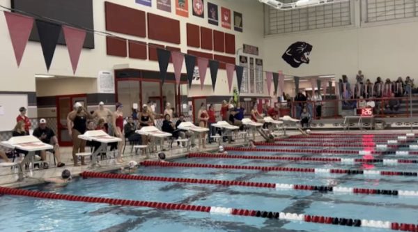 Swimming and diving season is underway