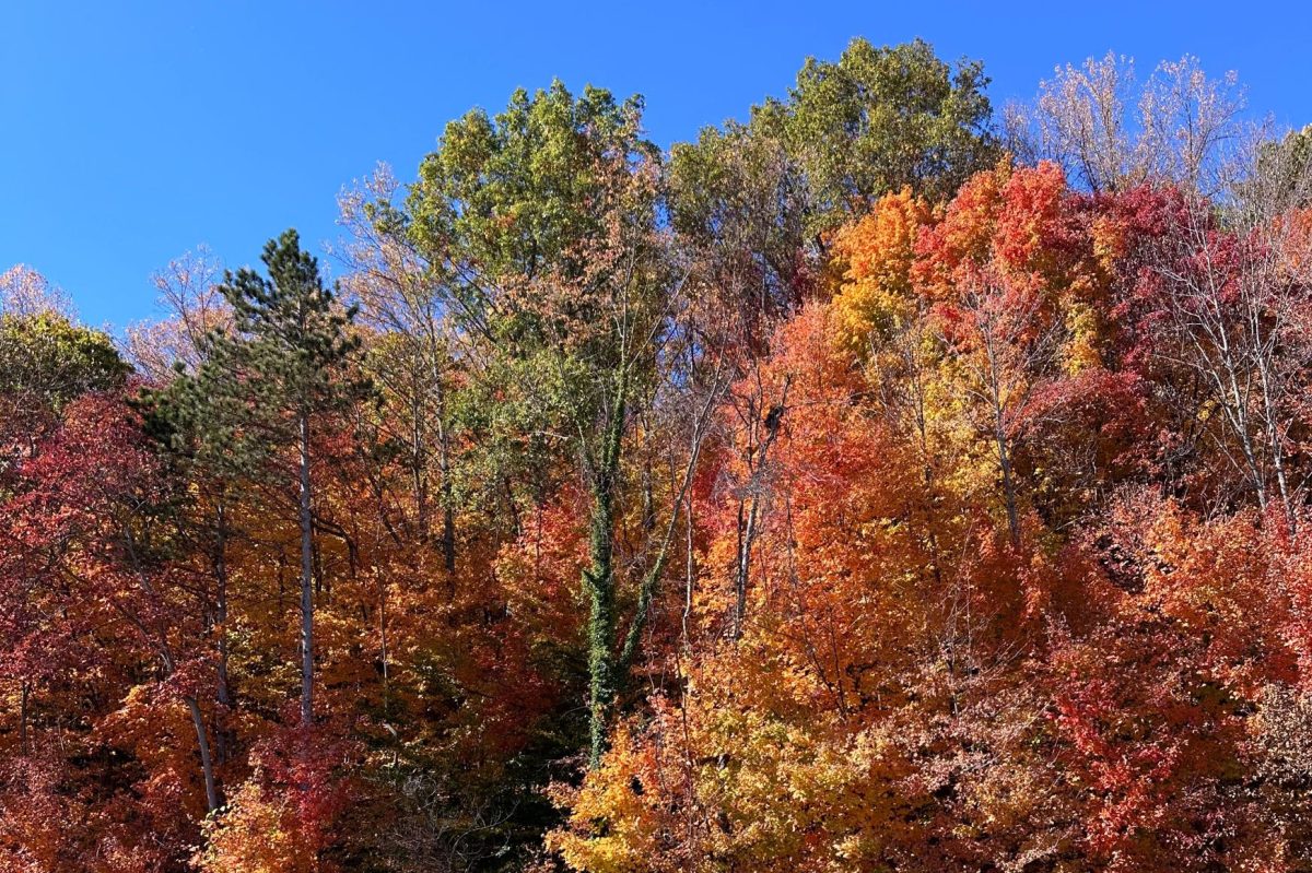 Fall indicates Thanksgiving is near. The change in colors is viewed as comforting during Thanksgiving break.