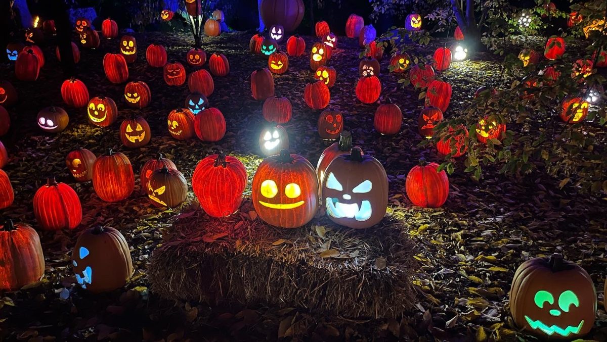 The pumpkin path of peril is a key feature of the Newfields Harvest Night experience. In the pumpkin patch, guests can see a variety of carved pumpkins and fun patterns