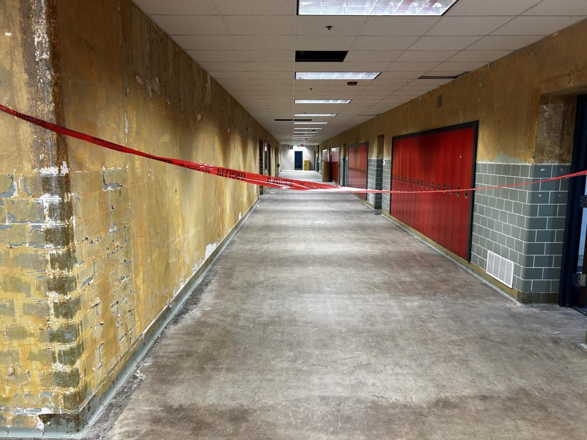 New construction starting in upper a hall.