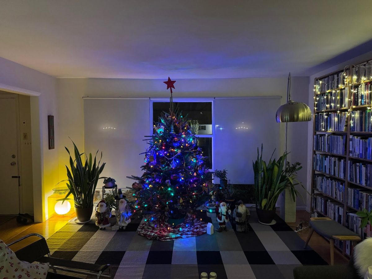 Sophomore Aksel Swenson’s Christmas tree that is decorated with family. “After all the decorations are on the star is put on top of the tree” Kristin Swenson said.
