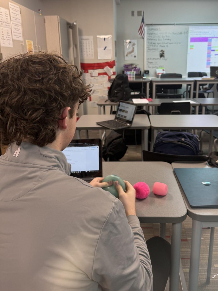 Junior Grant Fessler plays with a NeeDoh during class. NeeDohs are a popular fidget for students, offering different shapes, sizes, colors, and resistance. 
